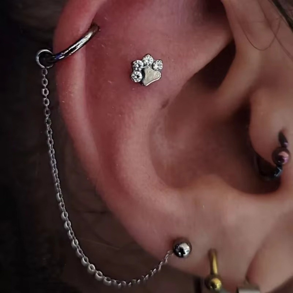 Fashion Titanium Nose Chain Th - Body Jewelry Piercing avis et prix