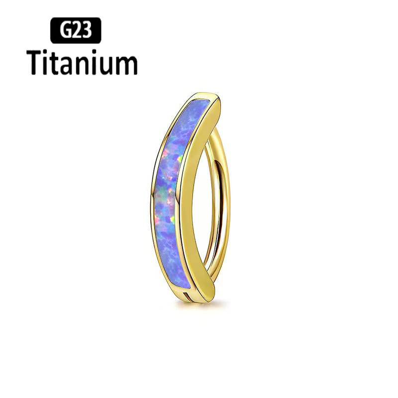 1PC 14G Implant Grade G23 Tita - Body Jewelry Implants avis et prix