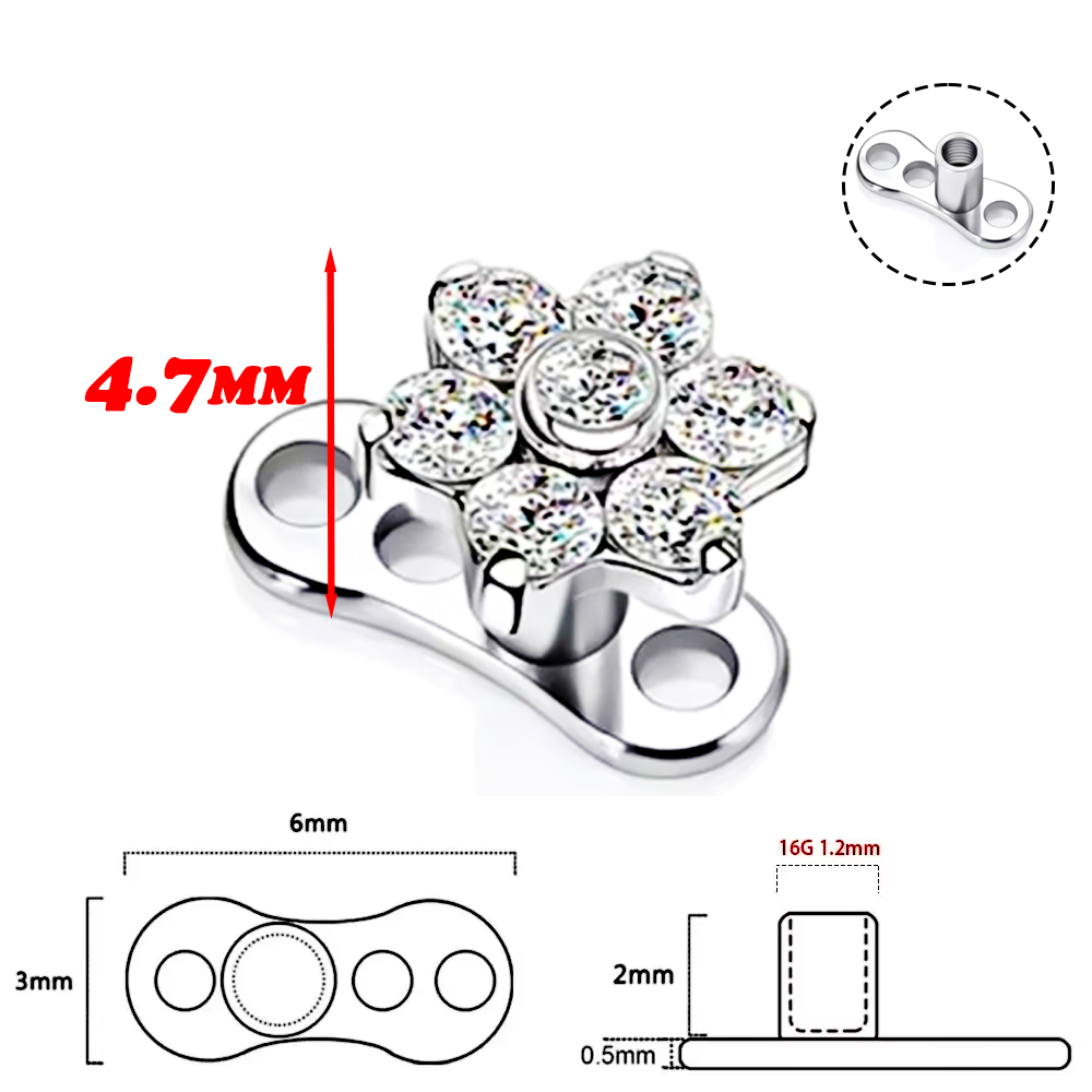 F136 Titanium Alloy High-Quali - Body Jewelry Implants avis et prix