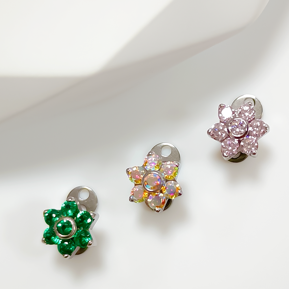 F136 Titanium Alloy High-Quali - Body Jewelry Implants avis et prix
